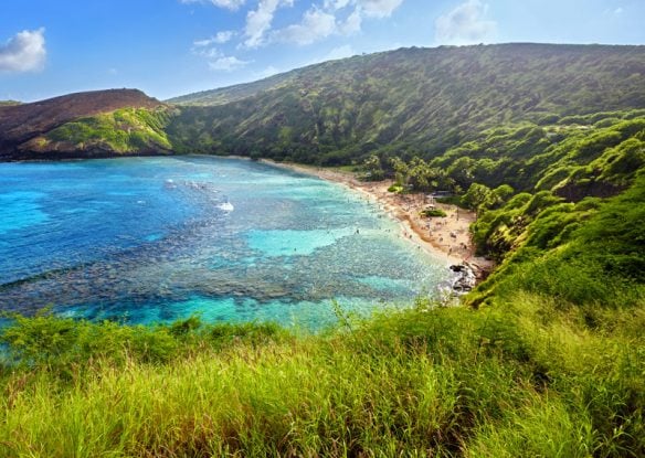 Coastline with lush vegetation and turquoise waters