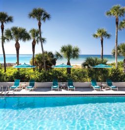 poolside view with palm trees at longboat key club