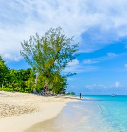 Seven Mile Beach in the Caribbean, Grand Cayman, Cayman Islands