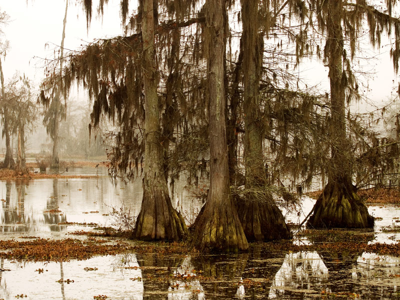 9 Best Places To Visit In Louisiana With Photos Trips To Discover