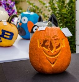 jack-o-lantern carved in pumpkin