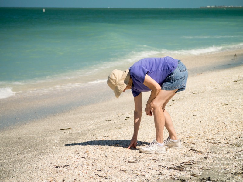 Looking for seashells. Florida islands have the best seashells