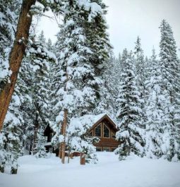 log cabin home in the snow