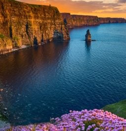 blue water with purple flowers and cliffs at sunset