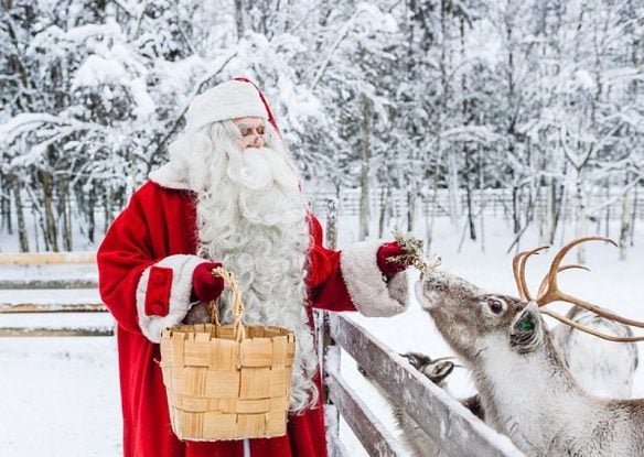 Santa Claus holding basket and feeding reindeer