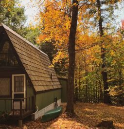 cabin surrounded by fall foliage