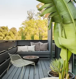 outdoor living space with plants
