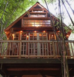 The exterior of the Atlanta Alpaca Treehouse nestled in a bamboo forest on a working farm in Atlanta