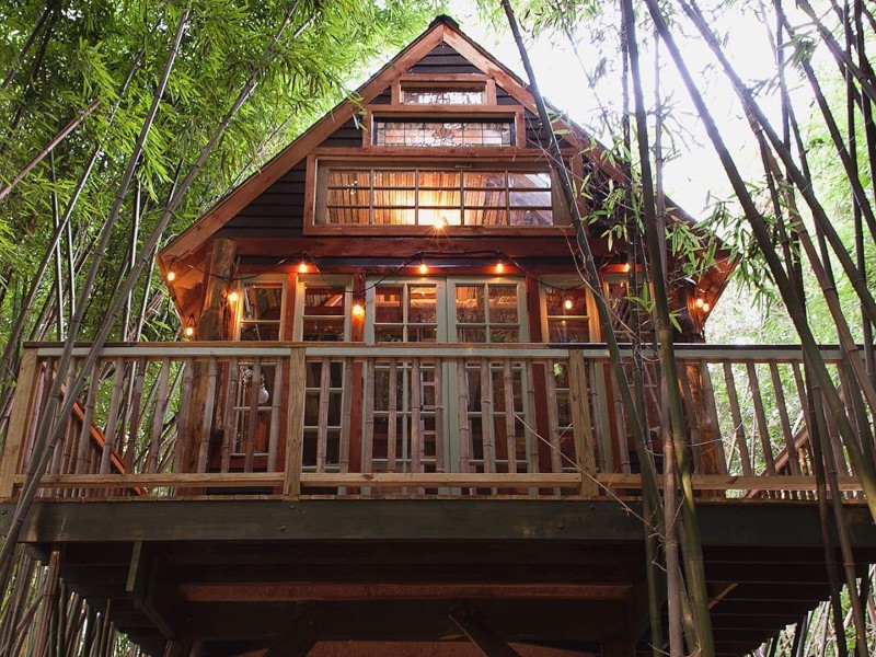 The exterior of the Atlanta Alpaca Treehouse nestled in a bamboo forest on a working farm in Atlanta