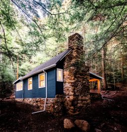 exterior of blue cabin surrounded by forest