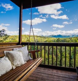 A swing on one of three decks overlooking a lush forest from the Cliffhang Over the French Broad River home.