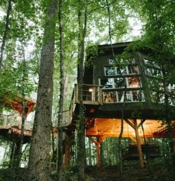 The exterior of The Majestic Treehouse with larger windows, a swing seat under the house tucked away on Bolt Farm
