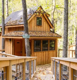 treehouse nestled in the trees