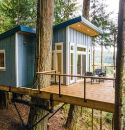 Blue treehouse perched in trees