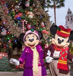 Mickey and Minnie pose in front of a Christmas Tree at Disney California Adventure park.