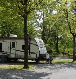 camping site at Cherry Hill Park