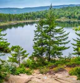 view of Bowl Lake in Acadia National Park