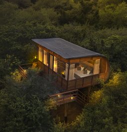 Nature lodge with curved edges in middle of forest