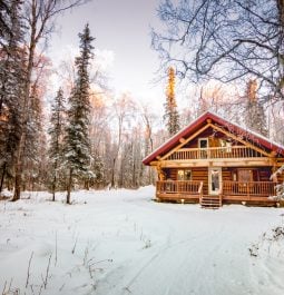 Wooden cottage set in snowy forest