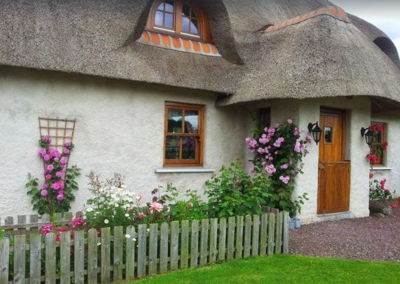 charming thatched Irish cottage with flowers