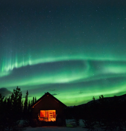 northern lights above a forest and cabin