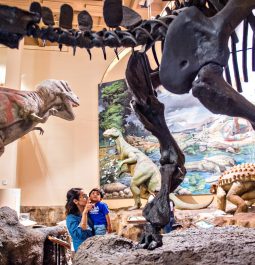 dinosaur exhibits at Fernbank Museum