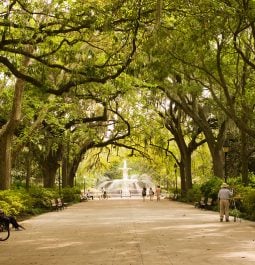 Sidewalk with canopy of large trees with Spanish moss looking at large fountain in Forsyth Park, Savannah GA