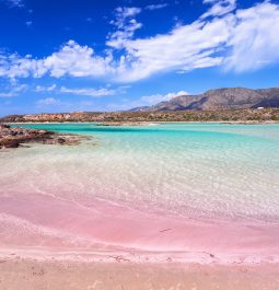pink sand beach with turquoise water
