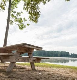 picnic table by the lake