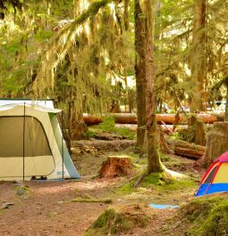 tents at Sol Duc Hot Springs RV & Campground