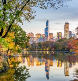 Central Park during autumn in New York City