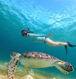 girl snorkeling next to a sea turtle