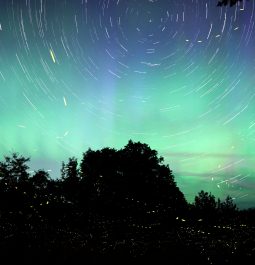 long exposure shot of northern lights above the forest