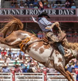 man on horse at Cheyenne Frontier Days