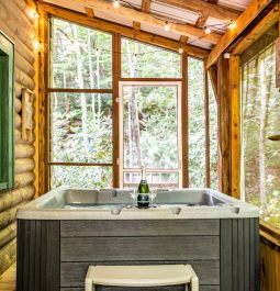 Hot tub in a cabin with forest view