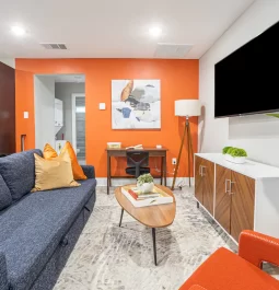 Gray sofa and orange wall in home