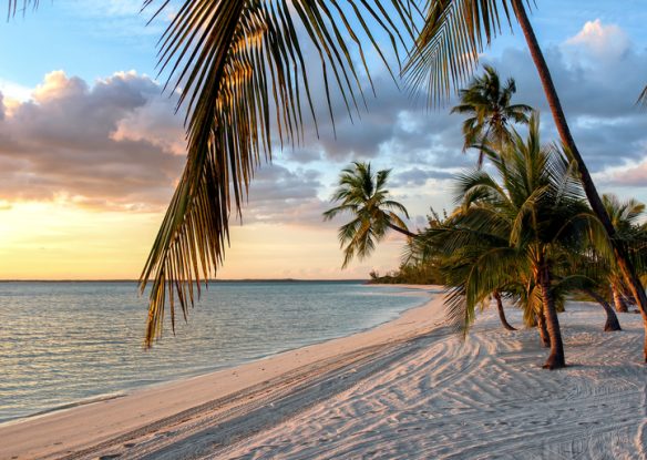 sunset on a white sand beach with palm trees