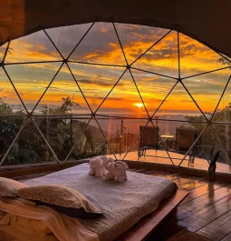 bedroom in dome with views of sunset and forest