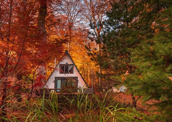 An A-frame cabin in the autumn forest