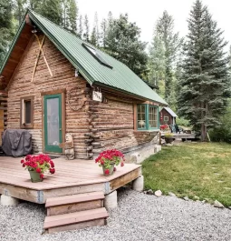 log cabin with small deck surrounded by evergreens