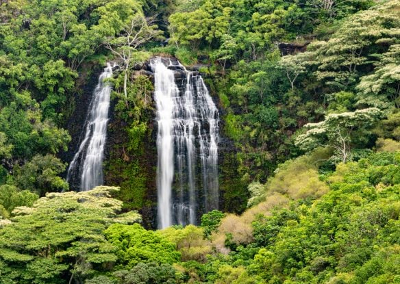 Opaekaa Falls in Kauai Hawaii