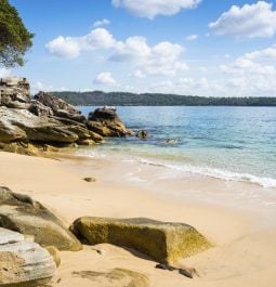 Lady Bay Nudist Beach, Watson`s Bay, Sydney, Australia