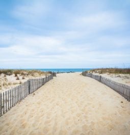 Path to the beach at Cape Henlopen State Park, in Rehoboth Beach