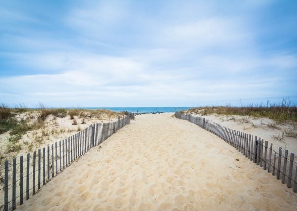 Path to the beach at Cape Henlopen State Park, in Rehoboth Beach