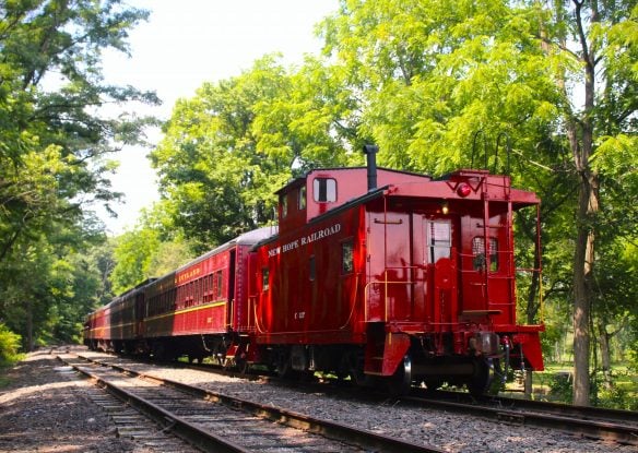 train on New Hope Railroad
