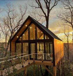 beautiful modern treehouse at sunset