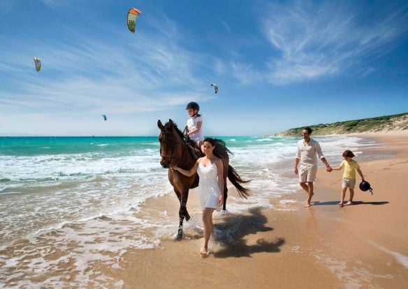 Children and horse on beach